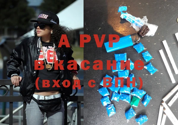 индика Магас