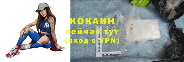 прущие грибы Липки