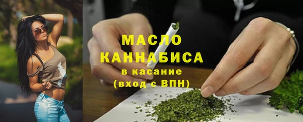 индика Магас