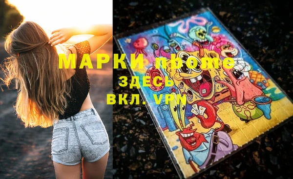 индика Магас