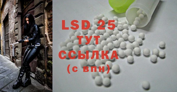 прущие грибы Липки