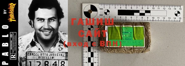 индика Магас
