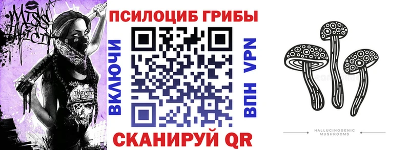 Псилоцибиновые грибы Psilocybine cubensis  Купить  Липки 